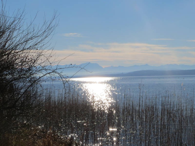 Aussicht vom Uferweg Stegen Ammersee